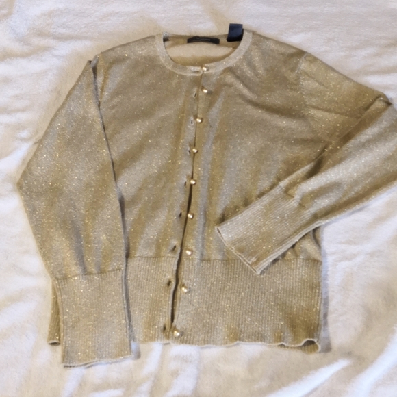 Liz Claiborne Sweaters - Liz Claiborne Gold Sparkle Sweater, sz Large